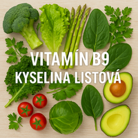 Kyselina listová pre plodnosť a tehotenstvo - ChatGPT Image 29. 7. 2025, 12_29_18