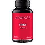 ADVANCE Tribul - Erekcia cps 1x60 ks obrázok