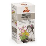 AGROKARPATY PROSTATA Vŕbovkový čaj bylinný čaj, prírodný produkt, 20x2 g (40 g) obrázok