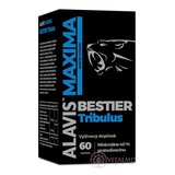 ALAVIS MAXIMA BESTIER Tribulus cps 1x60 ks obrázok