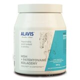 ALAVIS MSM + PATENTOVANÉ KOLAGENY prášok (pre kone) 1x600 g obrázok