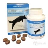 arthronis FÁZA 1 tbl CANIS  so syrovou príchuťou 1x60 ks obrázok