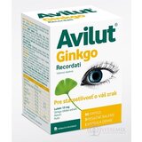 AVILUT Ginkgo Recordati cps 1x90 ks obrázok