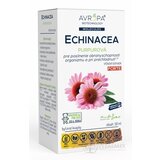 AVROPA Echinacea purpurová bylinné kvapky 1x50 ml obrázok