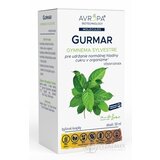 AVROPA GURMAR bylinné kvapky 1x50 ml obrázok