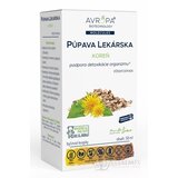 AVROPA PÚPAVA LEKÁRSKA koreň bylinné kvapky 1x50 ml obrázok
