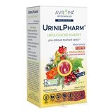 AVROPA UrinilPharm bylinné kvapky 1x50 ml obrázok