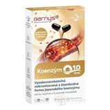 Barny's KOENZÝM Q10 DUAL 60 mg cps (zvýhodnené balenie) 2x30 (60 ks) obrázok