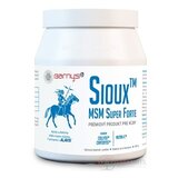 Barny's Sioux MSM Super Forte prášok 1x600 g obrázok