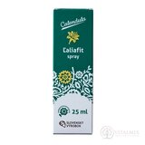 Calendula ĽALIAFIT spray na nohy 1x25 ml obrázok