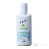 Calendula SAUNOVÝ OLEJ EUCALYPTUS 1x100 ml obrázok