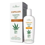 Cannaderm CAPILLUS šampón seborea CBD+ 1x150 ml obrázok