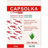 CAPSOLKA hrejivá kapsaicínová náplasť s ALOE VERA 13 x 18 cm, 1x2 ks obrázok