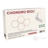 CHONDRO-BIOL tbl 1x30 ks obrázok