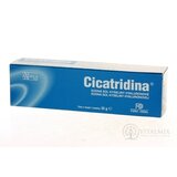 CICATRIDINA masť 1x30 g obrázok