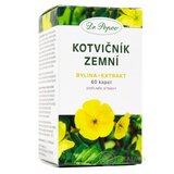 Dr. Popov KOTVIČNÍK ZEMNÝ cps (bylina - extrakt) 1x60 ks obrázok