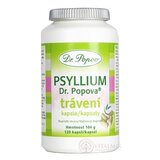 Dr. Popov PSYLLIUM trávenie cps 1x120 ks obrázok
