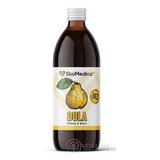 EkoMedica SK DULA šťava z duly 1x500 ml obrázok