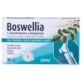 favea BOSWELLIA s chondroitínom a kolagénom tbl 1x30 ks obrázok