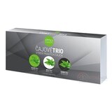 FYTO ČAJOVÉ TRIO - Darčeková kazeta porciované čaje (zelený, biely, čierny) vrecúška 3x10 (30ks), 1x1 set obrázok