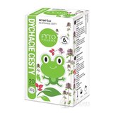 FYTO DETSKÝ ČAJ na DÝCHACIE CESTY bylinný (od ukončeného 6. mesiaca) 20x1,5 g (30 g) obrázok