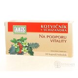FYTO KOTVIČNÍK + SCHIZANDRA cps (na podporu vitality) 1x30 ks obrázok