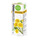 FYTO PÚPAVA kvapky 1x50 ml obrázok