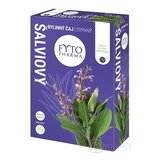 FYTO ŠALVIOVÝ ČAJ sypaný 1x40 g obrázok