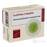 HANUS ČAJOVINA S FIALKOU vákuové bal. 1x40 g obrázok