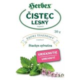 HERBEX ČISTEC LESNÝ sypaný 1x30 g obrázok