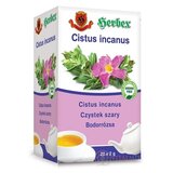HERBEX CISTUS incanus čaj zo stredomorskej Skalnej ruže, záparové vrecká 20x2 g (40 g) obrázok
