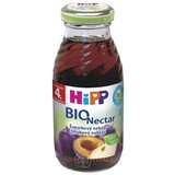 HiPP BIO Slivkový nektár (nová 2016) 1x200 ml obrázok