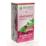 MEGAFYT Bylinková lekáreň TEHOTENSTVO bylinný čaj 20x1,5 g (30 g) obrázok