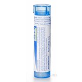 MILLEFOLIUM GRA HOM CH9 1x4 g obrázok