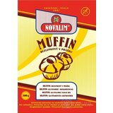 MUFFINY BEZLEPKOVÉ V PRÁŠKU plv 1x300 g obrázok