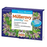 Müllerove pastilky MIX bez cukru, 3 druhy po 12 ks, 1x36 ks obrázok