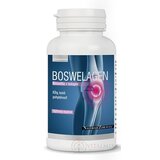 NástrojeZdravia BOSWELAGEN cps 1x60 ks obrázok