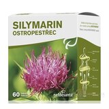 nefdesanté SILYMARÍN tbl 6x10 (60 ks) obrázok