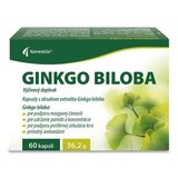 Noventis GINKGO BILOBA cps 1x60 ks obrázok