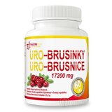 NUTRICIUS URO - BRUSNICE tbl 1x60 ks obrázok