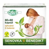 ORGANIKA SENOVKA & BENEDIKT cps 2x60 ks, 1x1 set obrázok