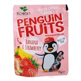 PENGUIN FRUITS Banana & Strawberry BIO mrazom sušený banán a jahoda 1x15 g obrázok