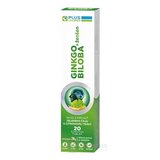 PLUS LEKÁREŇ GINKGO BILOBA + ženšen šumivé tbl, s príchuťou zeleného čaju a citrónovej trávy 1x20 ks obrázok