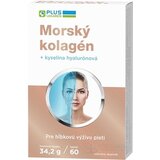 PLUS LEKÁREŇ Morský kolagén + kyselina haylurónová cps 1x60 ks obrázok