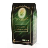 Prír. farmácia ČAJ NA ŽALÚDOK A HELICOB. PYLORI bylinný 1x65 g obrázok