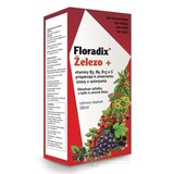 SALUS Floradix Železo + tekutá forma 1x500 ml obrázok