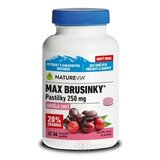 SWISS NATUREVIA MAX BRUSNICE 250 mg pastilky (20% zdarma) 1x36 ks obrázok