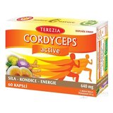TEREZIA CORDYCEPS active cps 1x60 ks obrázok