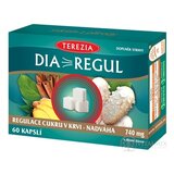 TEREZIA DIAREGUL cps 1x60 ks obrázok