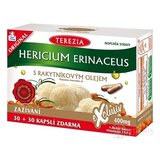 TEREZIA HERICIUM ERINACEUS S RAKYTNÍKOVÝM OLEJOM cps 30+30 zadarmo (60 ks) obrázok